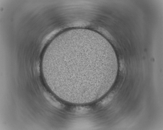 X0000074290632200609151918