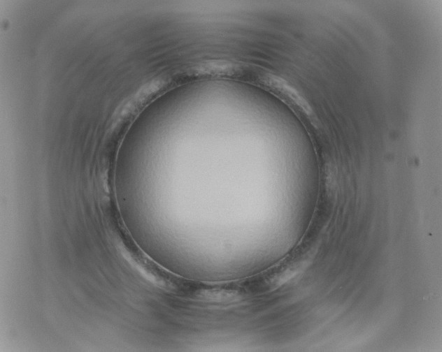 X0000074290633200609151918