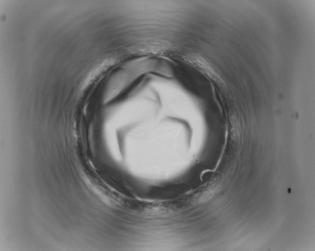 X0000074290634200609151918