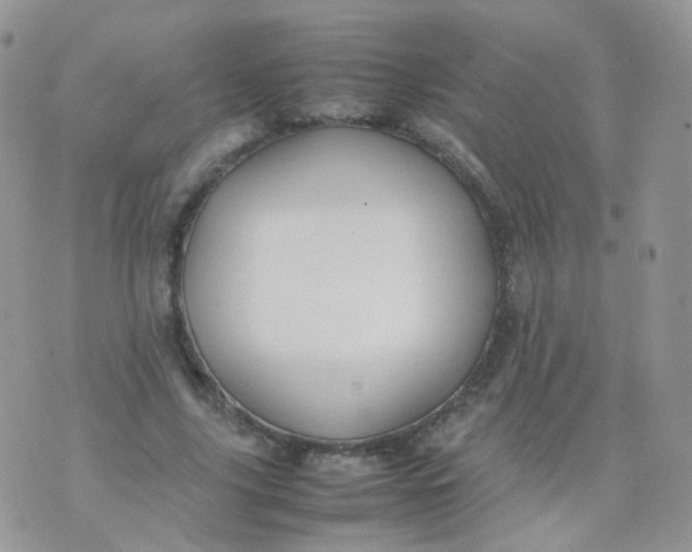 X0000074290635200609151918