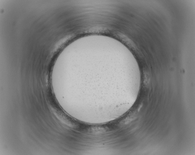 X0000074290636200609151918