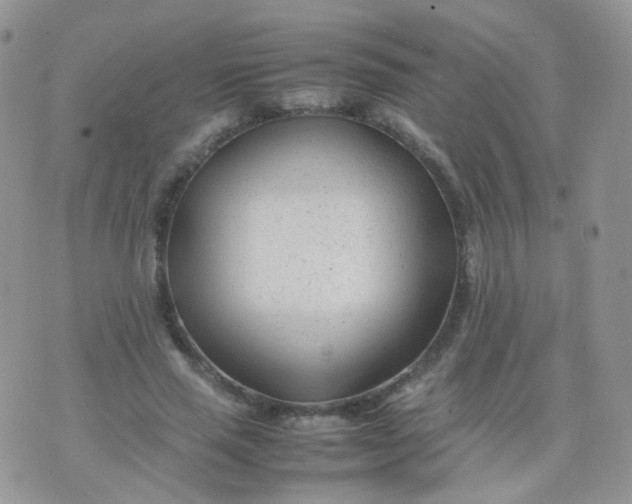 X0000074290637200609151918