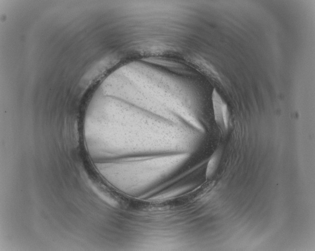 X0000074290638200609151918