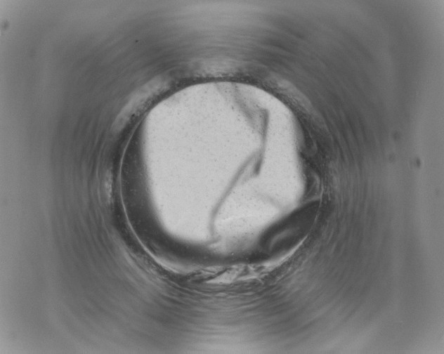 X0000074290640200609151918