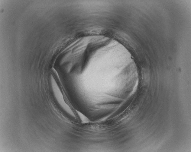 X0000074290641200609151918