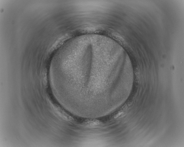 X0000074290642200609151918