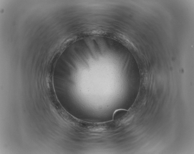 X0000074290643200609151918