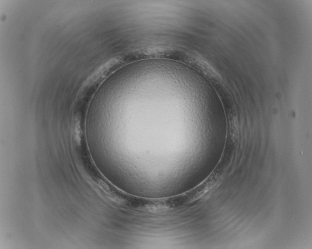 X0000074290644200609151918