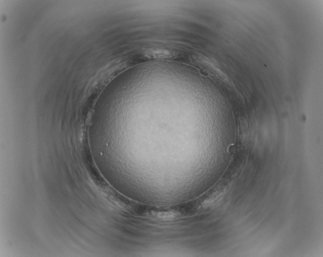 X0000074290645200609151918