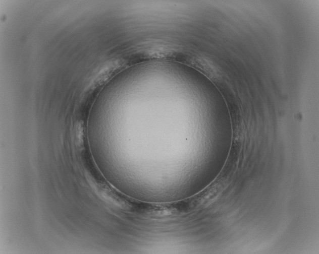 X0000074290646200609151918