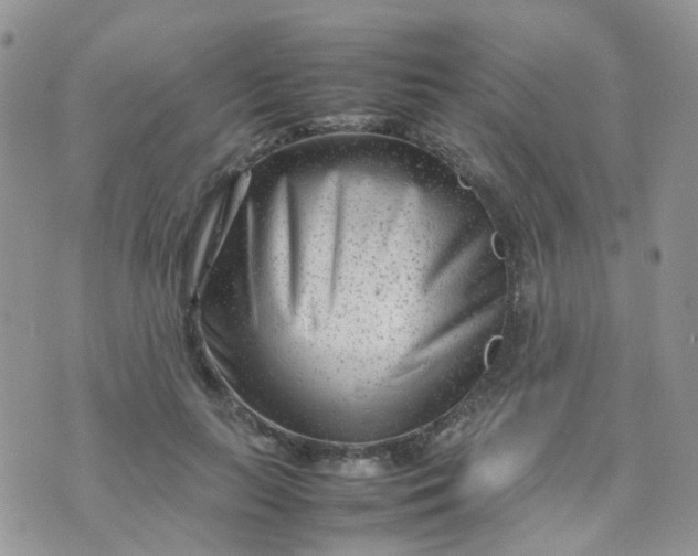 X0000074290647200609151918