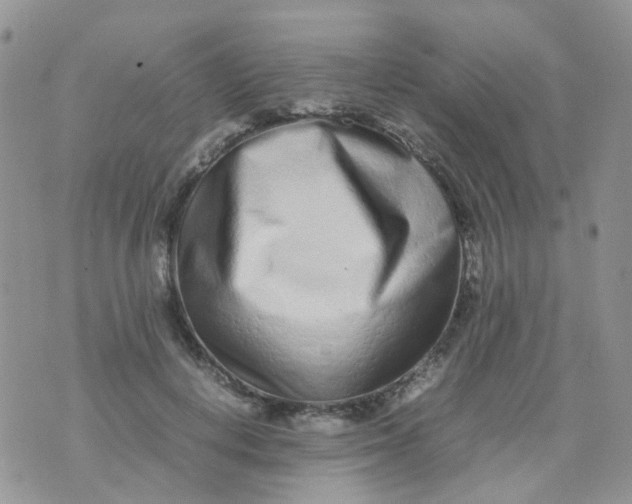 X0000074290648200609151918