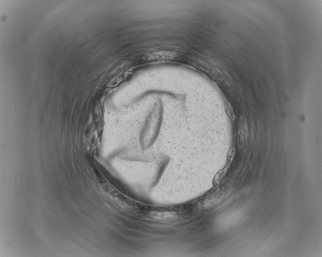 X0000074290649200609151918