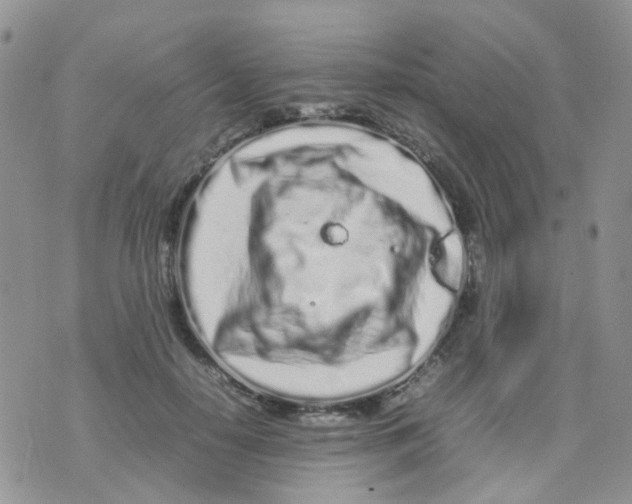 X0000074290650200609151918