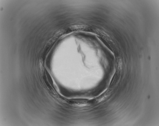 X0000074290651200609151918