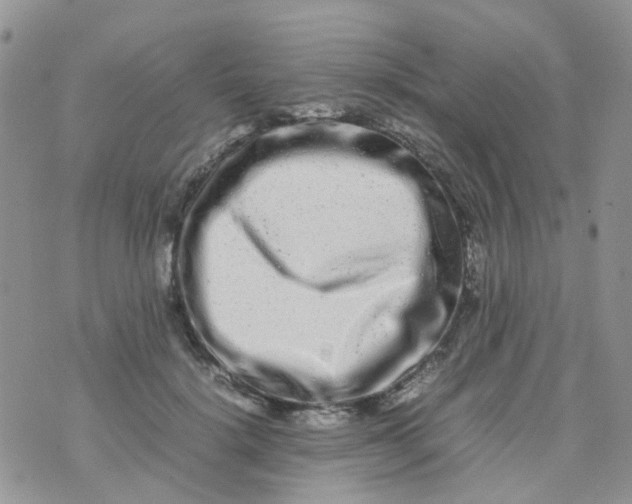 X0000074290652200609151918