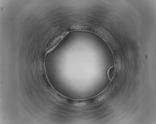 X0000074290653200609151918