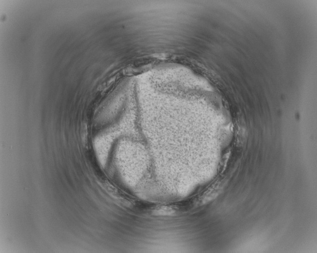 X0000074290656200609151918