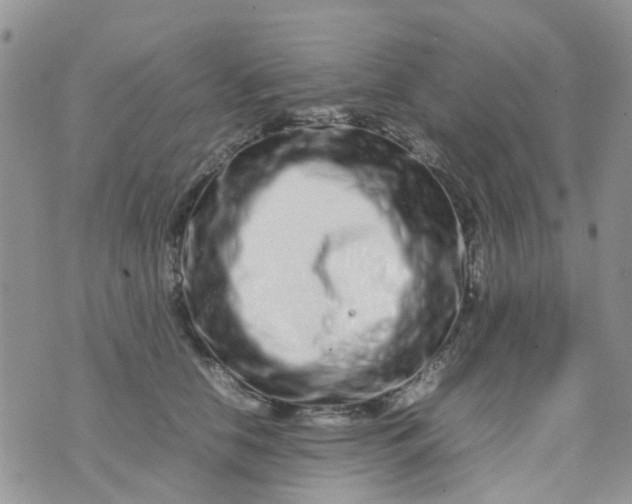 X0000074290658200609151918