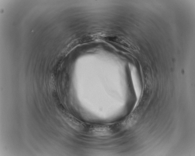 X0000074290659200609151918