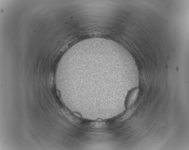 X0000074290660200609151918