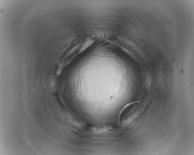 X0000074290661200609151918