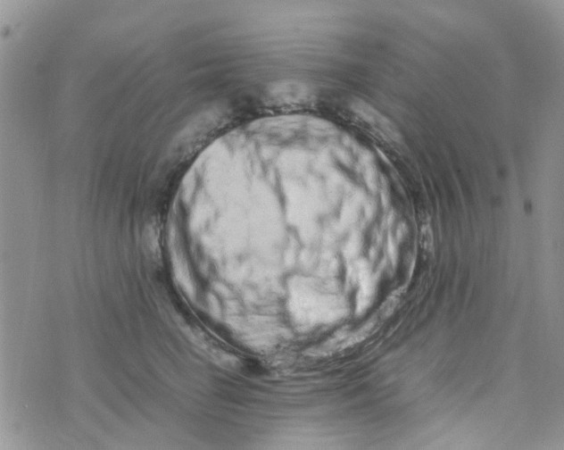 X0000074290662200609151918