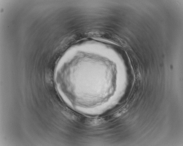 X0000074290663200609151918