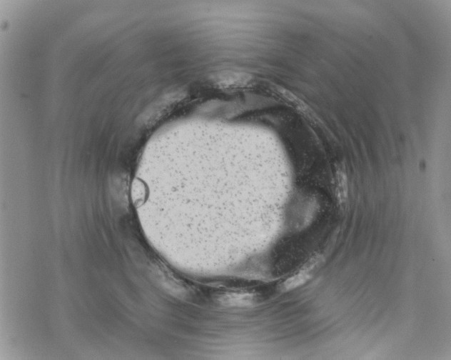 X0000074290664200609151918