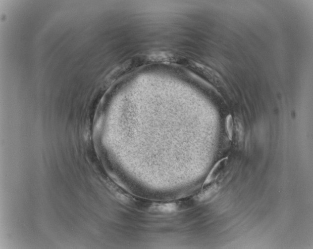 X0000074290665200609151918