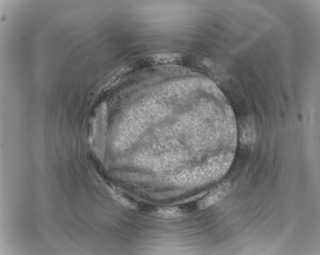 X0000074290666200609151918