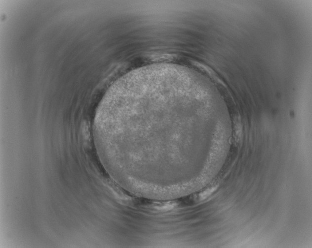 X0000074290667200609151918