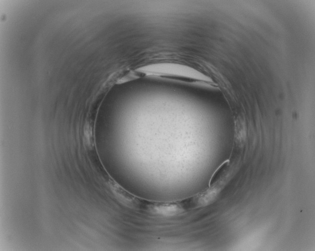 X0000074290669200609151918