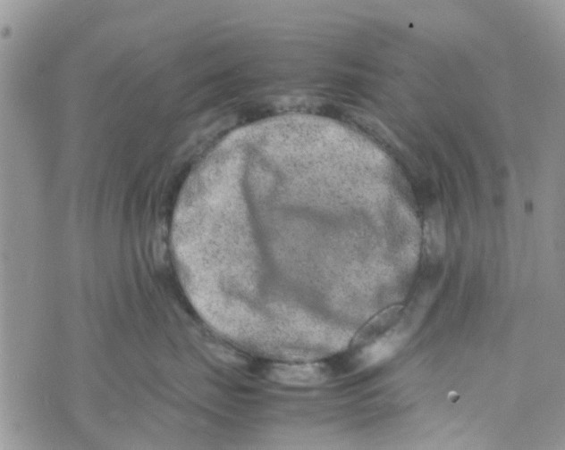 X0000074290671200609151918