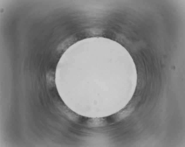 X0000074290672200609151918