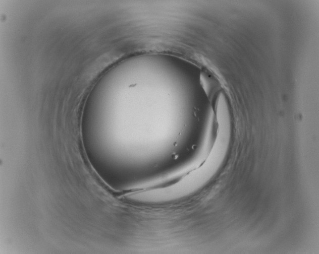 X0000074290673200609151917