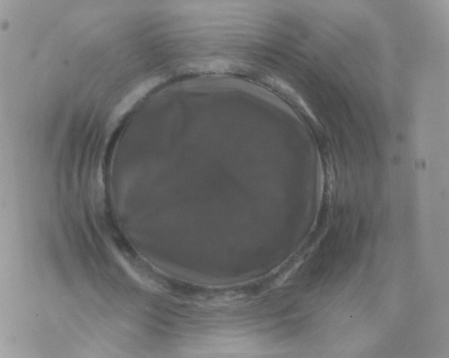 X0000074290674200609151917