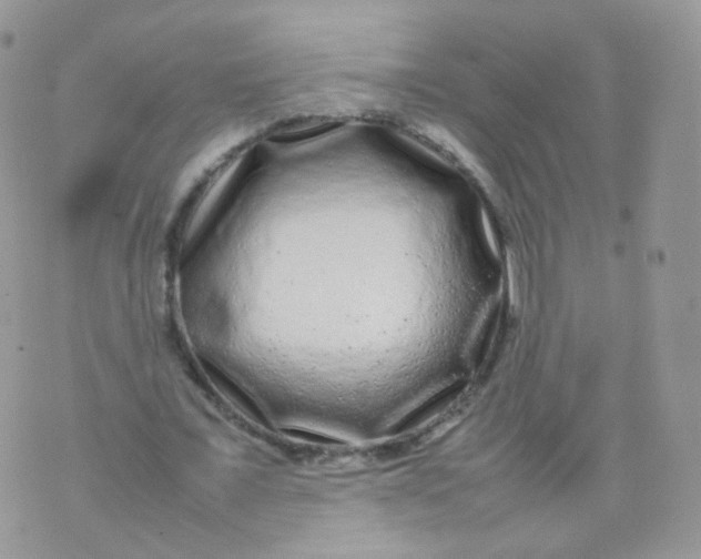 X0000074290675200609151917