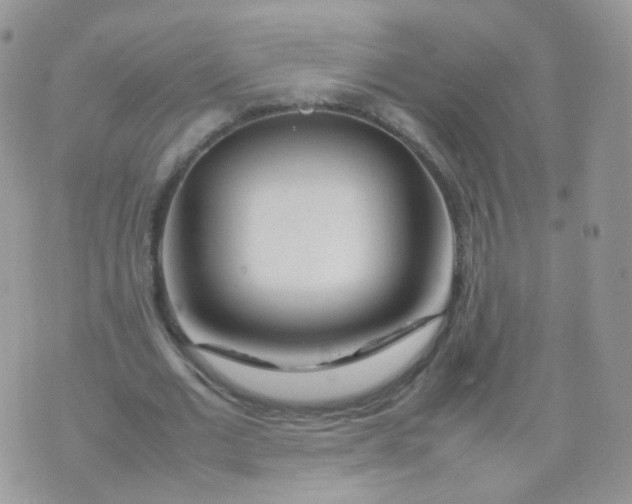 X0000074290677200609151917