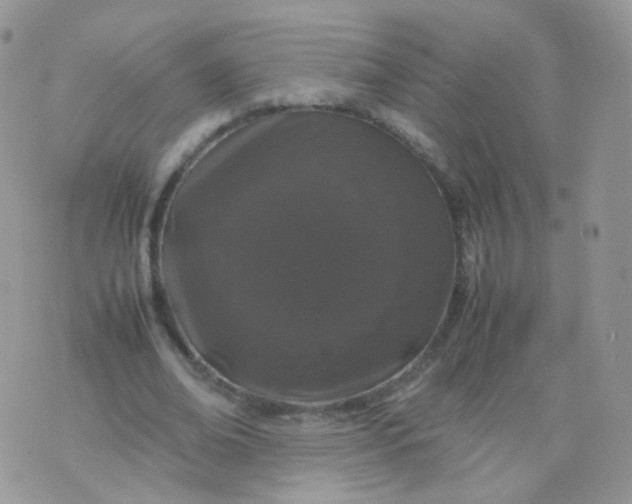 X0000074290678200609151917