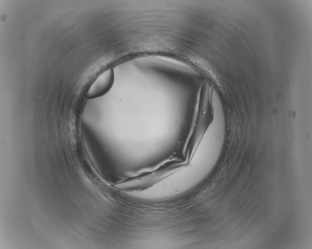 X0000074290680200609151917