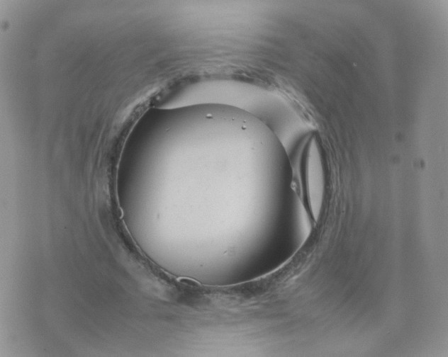 X0000074290681200609151917