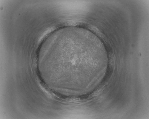 X0000074290683200609151917