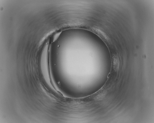 X0000074290684200609151917