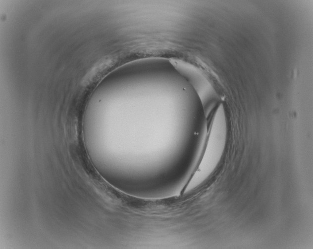 X0000074290685200609151917