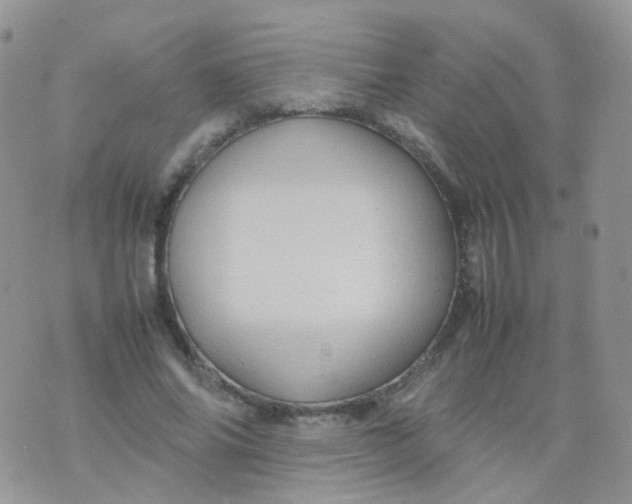 X0000074290686200609151917