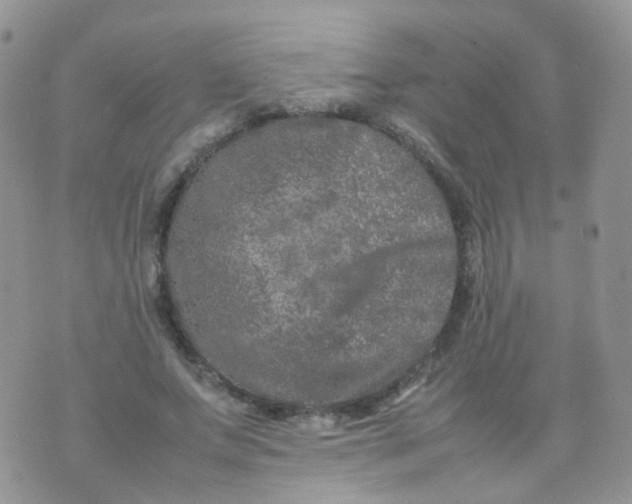 X0000074290687200609151917