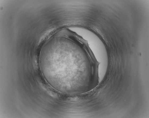 X0000074290688200609151917