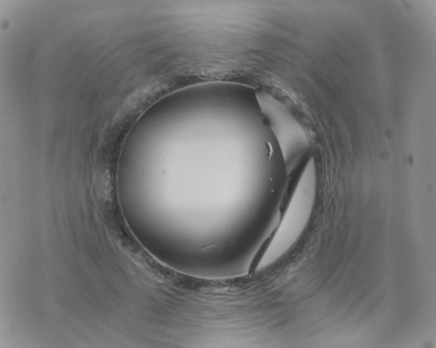 X0000074290689200609151917