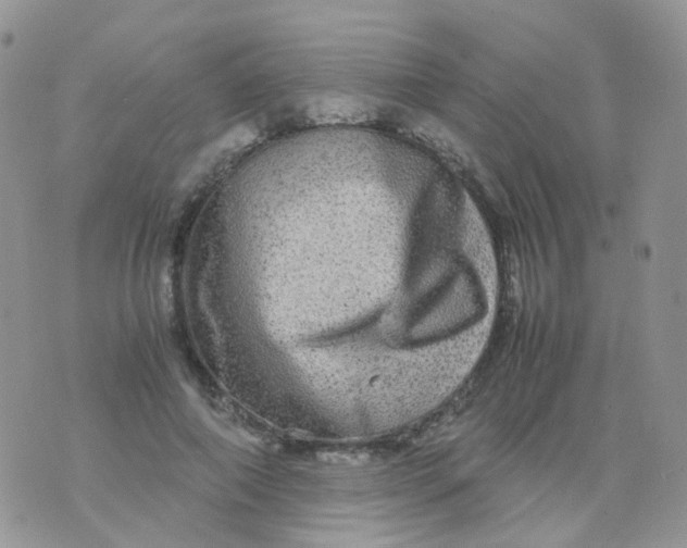 X0000074290690200609151917